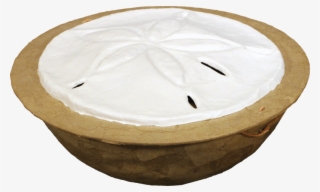 Serenity Sand Dollar Water-soluble Urn - Coffee Table #8116828