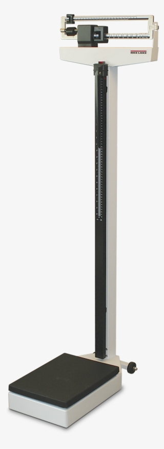 Medical Scale #8117826