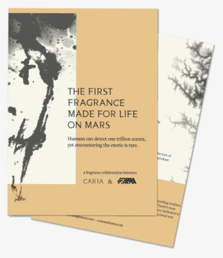 Leave - Tree #8118563