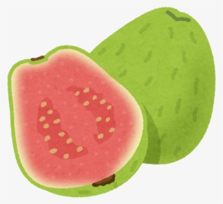 Guava Fruit Clip Art - グアバ イラスト 無料 #8118875