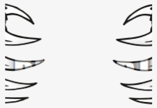 Claw Scratch Clipart Panther - Animal Claws #8119211