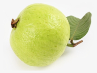 Guava Clipart Transparent - Guava Clipart Png #8119538