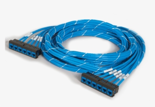 Bezel To Bezel - Ethernet Cable #8119608 Bezel To Bezel - Ethernet Cable #8119608