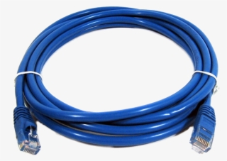 800 X 800 5 - Utp Cat6 Patch Cord #8119977