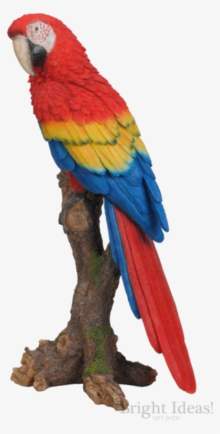 Red Macaw Exotic Bird Vivid Arts Real Life - Parrot Perching On Tree #8120964