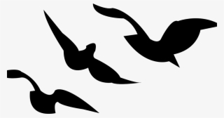 Divergent Ravens Tattoo Png - Divergent Clipart Png #8121637