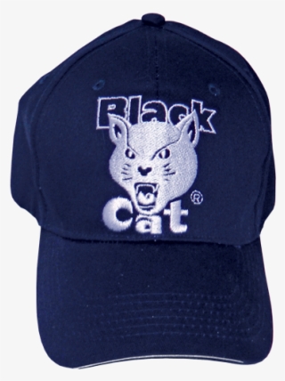 Baseball Cap #8121640