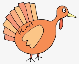 Duck #8122702