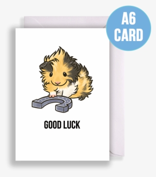 Good Luck Guinea Pig Card - Greeting Card #8123391