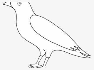 Crow Clipart Flying - Pigeons And Doves #8123511