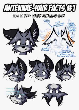 Antennae-hair Facts - Hair Antennae #8124436