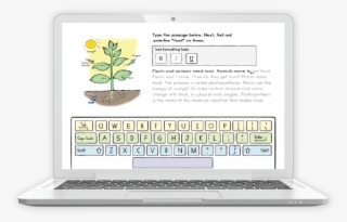 Grade - Netbook #8124762