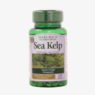Holland And Barrett Sea Kelp #8125325