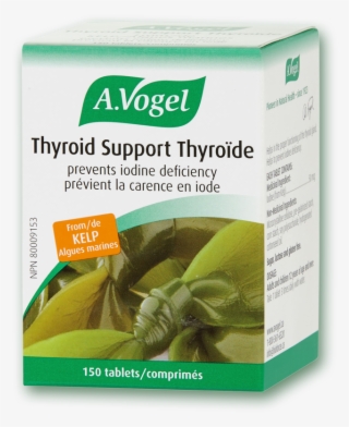 Vogel Thyroid Support Iodine Deficiency - Complément Alimentaire Pour La Thyroide #8125358