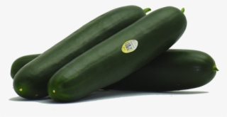 English - Zucchini #8126750