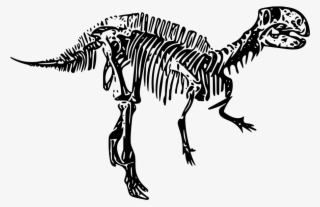 Download Png - Dinosaur #8129624