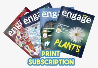 Choose Your Subscription - Flyer #8130627