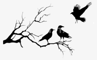 Birds Png Black Sticker Photography Freetoedit - Couple Cross Stitch Free #8131361
