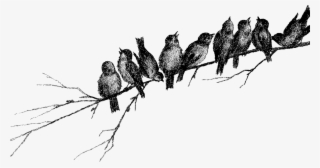 Digital Stamp Design - Flock #8131520 Digital Stamp Design - Flock #8131520