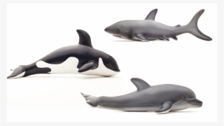 Tap To Expand #8132001