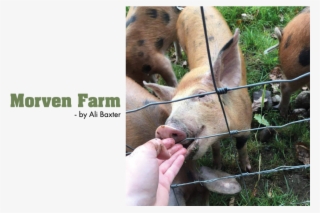 140artboard 1-101w - Merrill Lynch #8132357