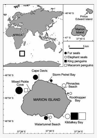 A World Map Showing The Anglosphere - Map Of Where English Is Spoken ...