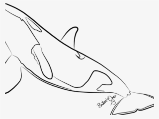 Killer Whale Clipart Easy - Line Art #8132804