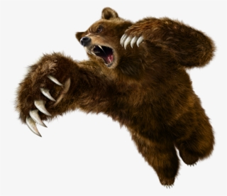Clipart Transparent Download Kuma Png Tekken Artwork - Tekken 6 Kuma #8134190