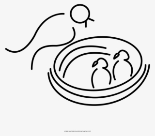 Bird Nest Coloring Page With Ultra Pages - Line Art #8134507