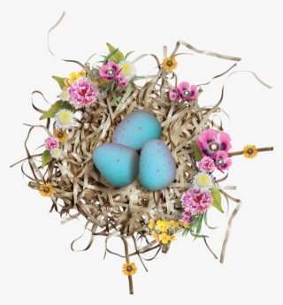 Bird Easter Transprent Png Free Download - Egg #8134636