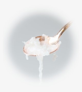 Indonesia Coconut Milk Bird's Nest - Bittern #8134732