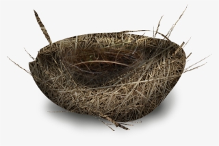 Storage Basket #8134871