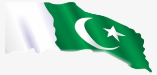 Pakistan - Flag #8134918