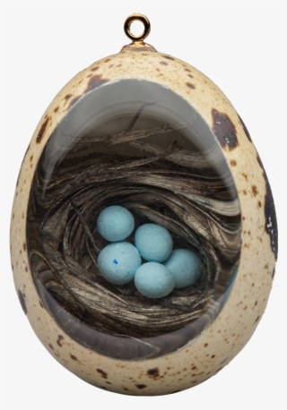 Robin's Nest - Locket #8135027
