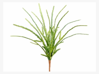 13" Pencil Cactus Bush Green - Grass #8135151