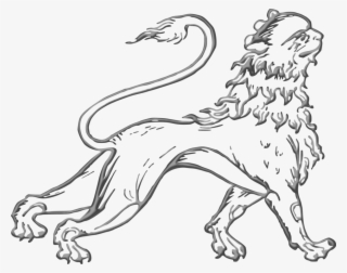 Sea Lion Dog Breed Felidae Drawing - Lion #8135957