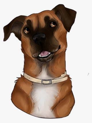 🍑peachy🍑 On Twitter - Companion Dog #8136299