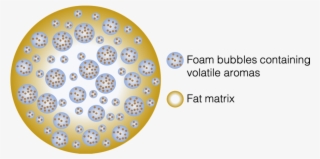 Illustration Of Micro-foamed Micropow Powder For Application - Circle #8136754