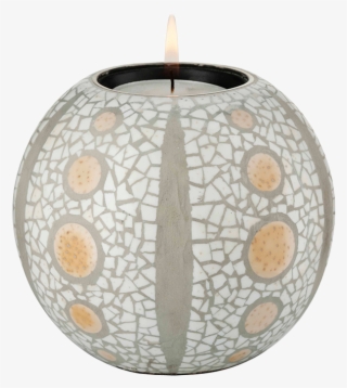 Ivory & Ivory - Ceramic #8139025