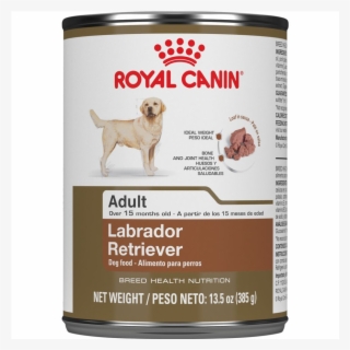 Adult Labrador Retriever Canned Dog Food - Royal Canin Golden Retriever Dog Food #8139094