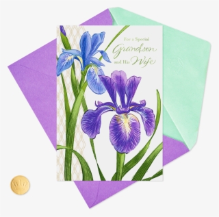 Irises For A Special Grandson And His Wife Easter Card - Orris Root #8139927