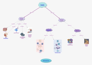 Created Using Inspiration® 9 International English - Water Bottle #8140518