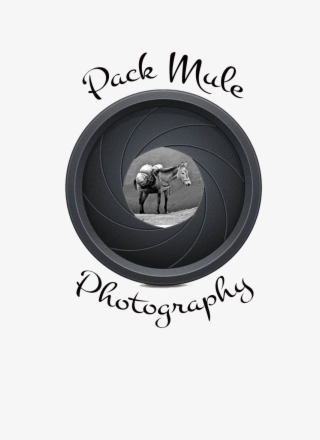Mule Png #8140932