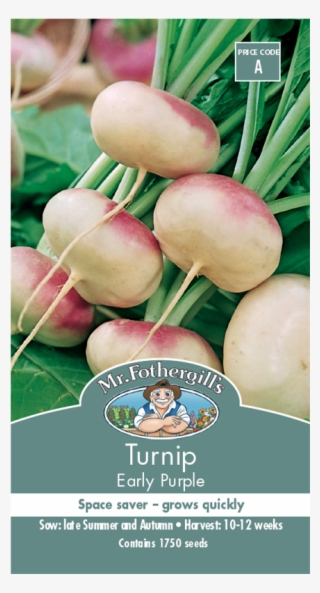 Mr Fothergill's Seed Turnip Early Purple - Turnip Purple Top Milan #8141743