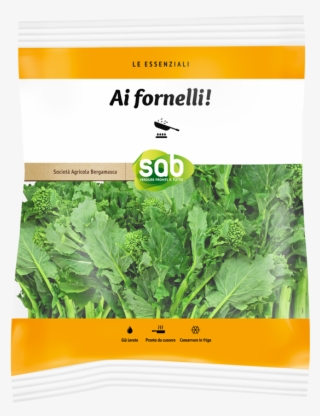 Arugula #8141917