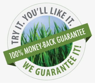 Money Back - Top Employers For Young People #8143900