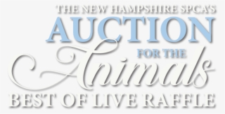 About The Best Of Live Raffle - Motionwear #8145055