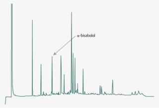 Chamomile Chart - Diagram #8145178