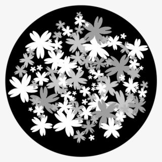 Apollo Design 6133 Bed Of Flowers B&w Superresolution - African Daisy #8146323
