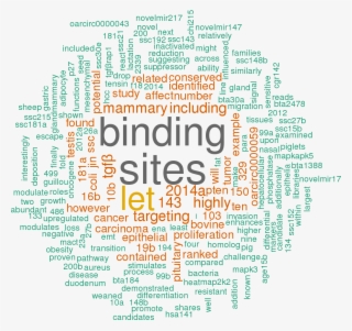 Stem Loop Sequence Oar Mir 148a - Hsa Let 7a 3p 5p 3 Utr #8147475